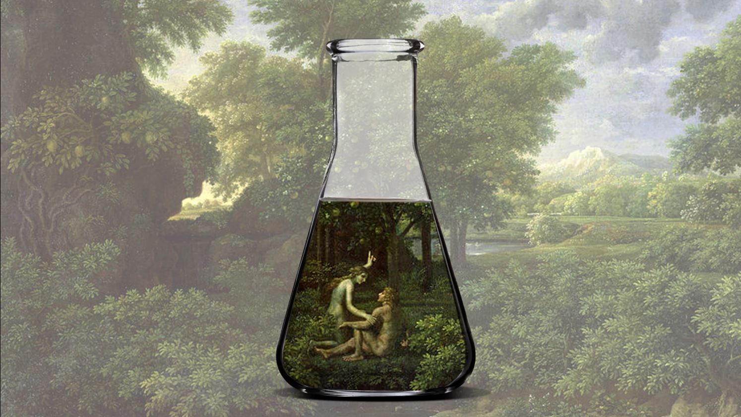 131942.jpg?resize=1200,628