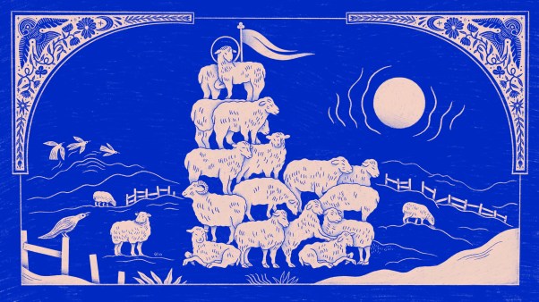 Sheep making the shape of a church